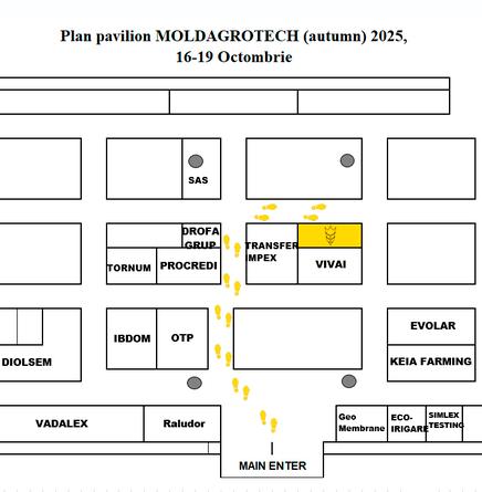 План MoldAgrotech 2025