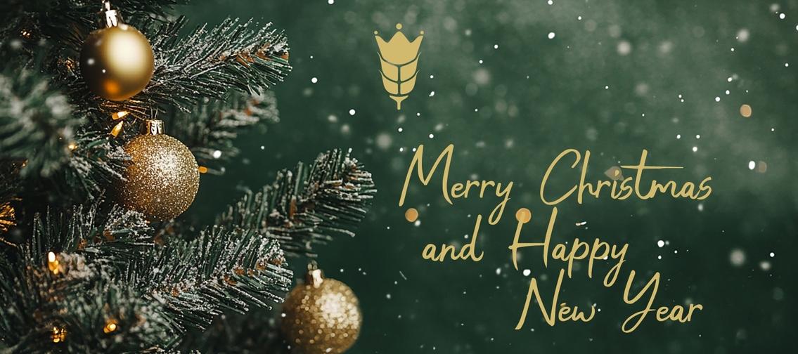 Merry Christmas and Happy New Year 2026