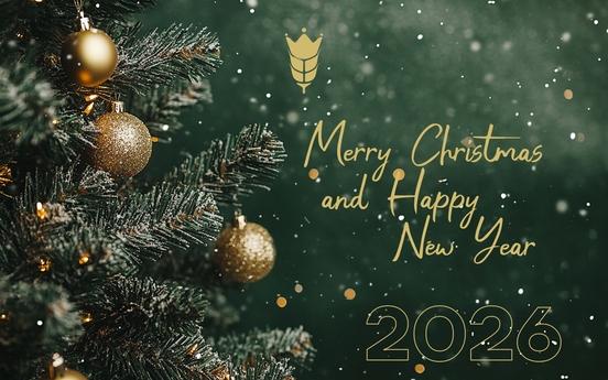 Merry Christmas and Happy New Year 2026