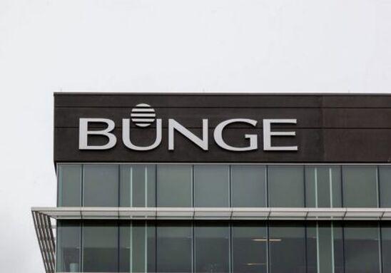 Bunge