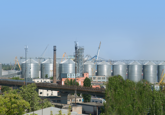 Brooklyn-Kyiv Grain Terminal LLC (Louis Dreyfus Group)